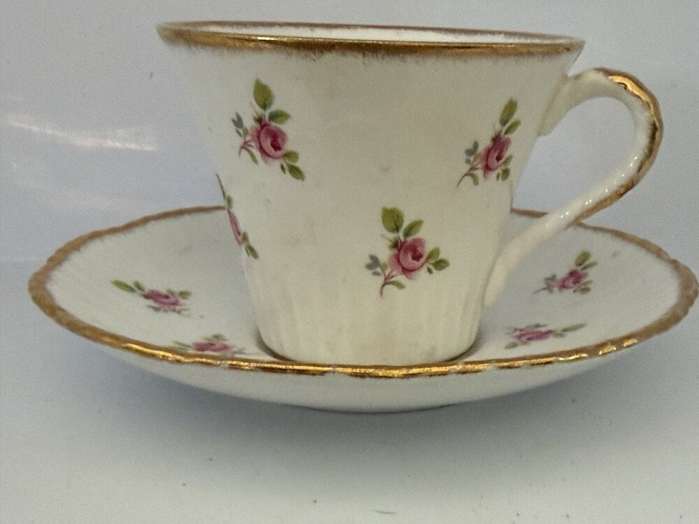 Antique Salisbury Teacup & Saucer Floral Rose Gold Trim Bone China England